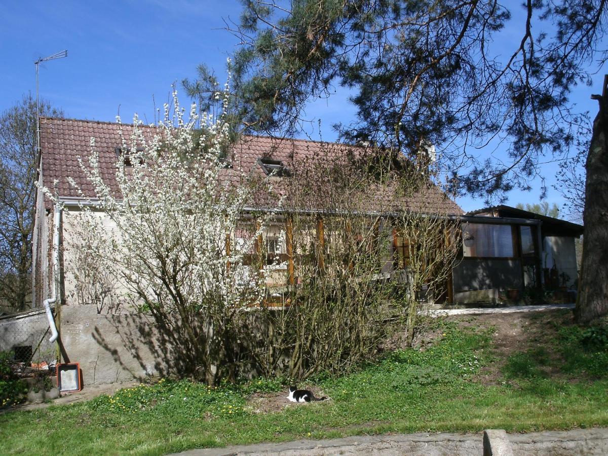 Chambres D'Hotes Du Moulin Saint-Julien-sur-Cher Exterior foto