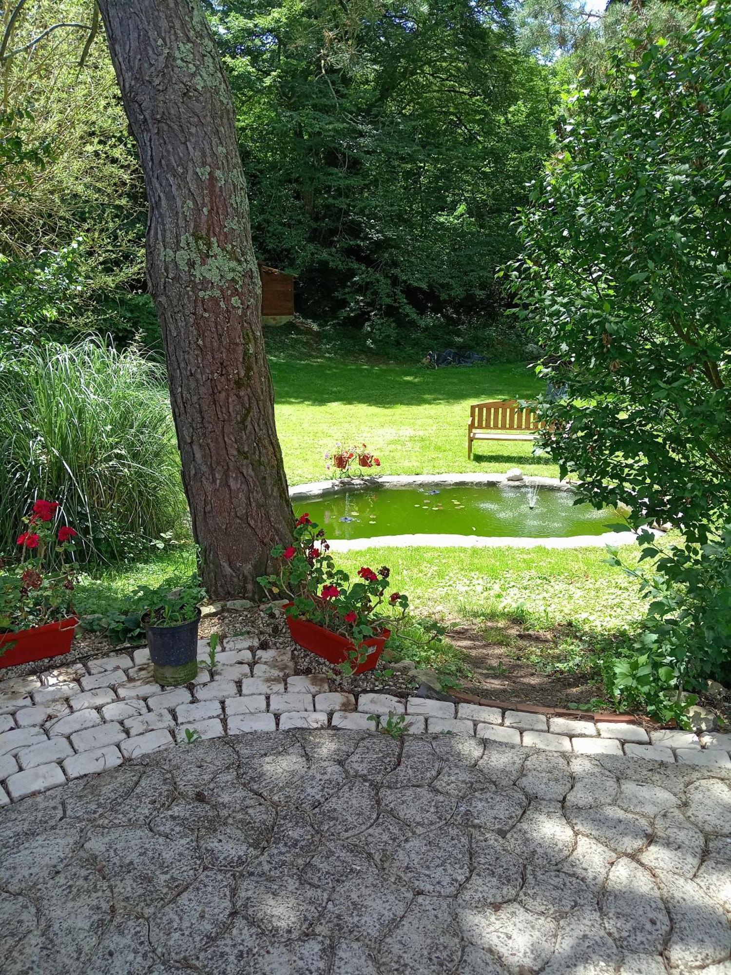 Chambres D'Hotes Du Moulin Saint-Julien-sur-Cher Exterior foto